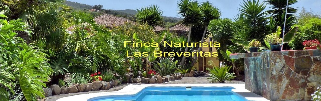 Vakantiehuis Finca Naturista Las Breveritas - Solo Adultos